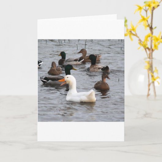 Brutale Eend Kaart (Gele Bloem)