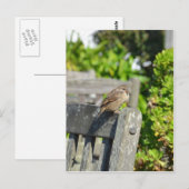 Brutale Mus Briefkaart (Voorkant / Achterkant)
