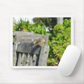 Brutale Mus Muismat (Met muis)