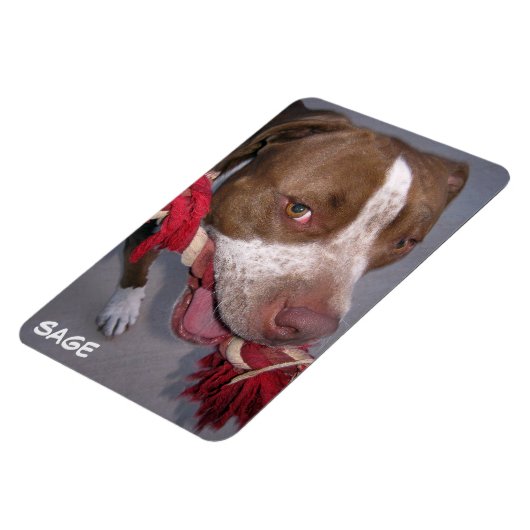 brutale Pitbull Magneet (Linkerzijde)