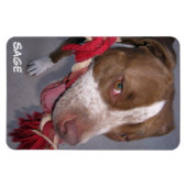 brutale Pitbull Magneet (Horizontaal)