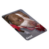brutale Pitbull Magneet (Rechterzijde)