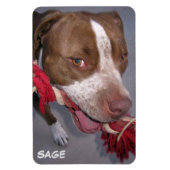 brutale Pitbull Magneet (Verticaal)