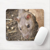 brutale rat mousepad muismat (Met muis)