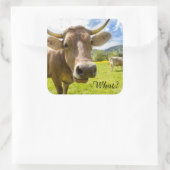 brutale "Wat?" Koe Vierkante Sticker (Tas)