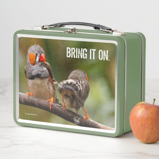 Brutale zebravinken zangvogels op tak (In situ)