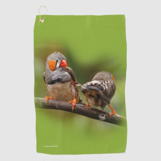 Brutale zebravinken zangvogels op tak golfhanddoek (Voorkant)