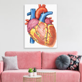 Bruto anatomie van het menselijk hart canvas afdruk (Insitu (Woonkamer))