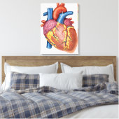 Bruto anatomie van het menselijk hart canvas afdruk (Insitu (Slaapkamer))