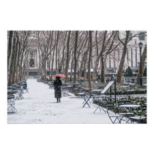 Bryant Park Sneeuw Perfect Poster