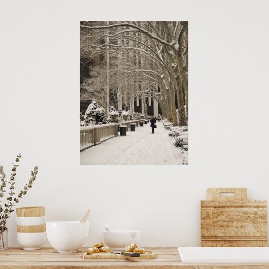 Bryant Park Snow Poster (Keuken)