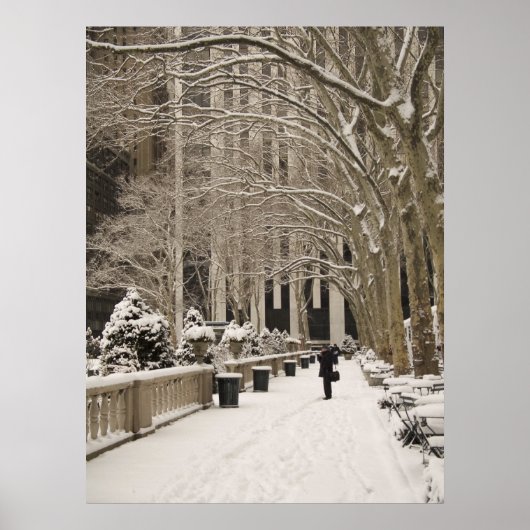 Bryant Park Snow Poster (Voorkant)