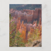 Bryce Briefkaart (Voorkant)