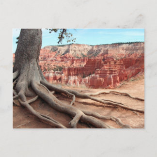 Bryce Canyon Briefkaart