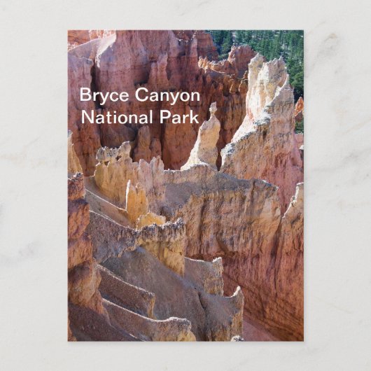 Bryce Canyon Briefkaart (Voorkant)