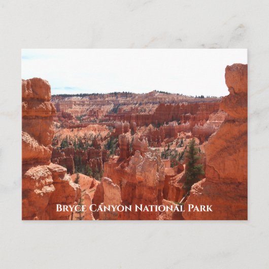 Bryce Canyon Briefkaart (Voorkant)