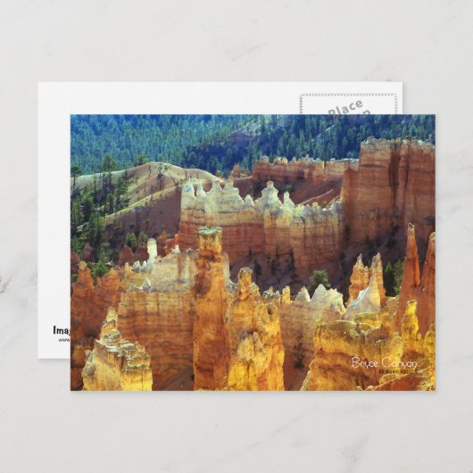 Bryce Canyon Briefkaart (Voorkant / Achterkant)