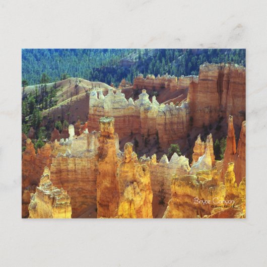 Bryce Canyon Briefkaart (Voorkant)