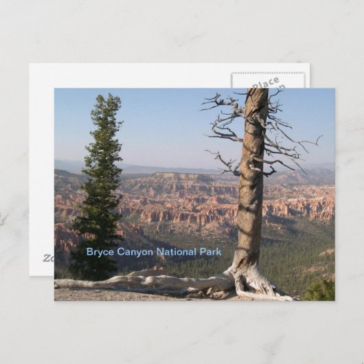 Bryce Canyon Briefkaart (Voorkant / Achterkant)