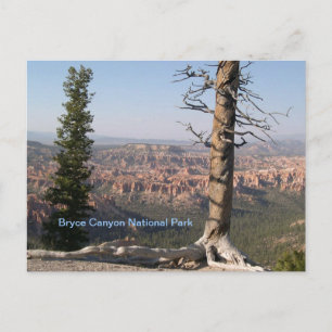 Bryce Canyon Briefkaart