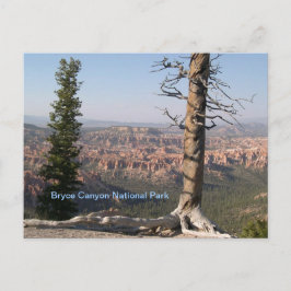 Bryce Canyon Briefkaart