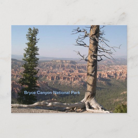 Bryce Canyon Briefkaart (Voorkant)