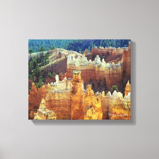 Bryce Canyon Canvas Afdruk (Voorkant)