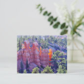 Bryce Canyon Ggloeien Briefkaart (Staand voorkant)