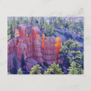 Bryce Canyon Ggloeien Briefkaart
