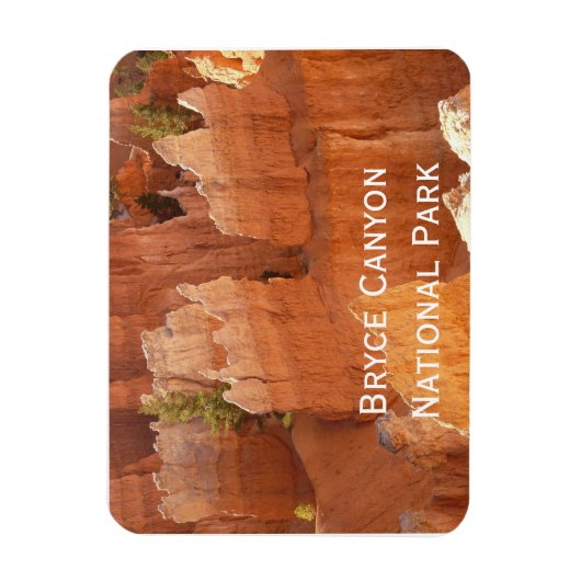 Bryce Canyon Hoodoos Magneet (Verticaal)