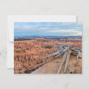 Bryce Canyon National Park bij zonsopgang Briefkaart