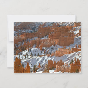 Bryce Canyon National Park Hoodoos met sneeuw Briefkaart