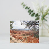 Bryce Canyon National Park Hoodos Briefkaart (Staand voorkant)