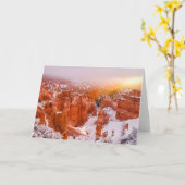 Bryce Canyon National Park Kaart (Gele Bloem)