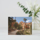 Bryce Canyon National Park Trail Briefkaart (Staand voorkant)