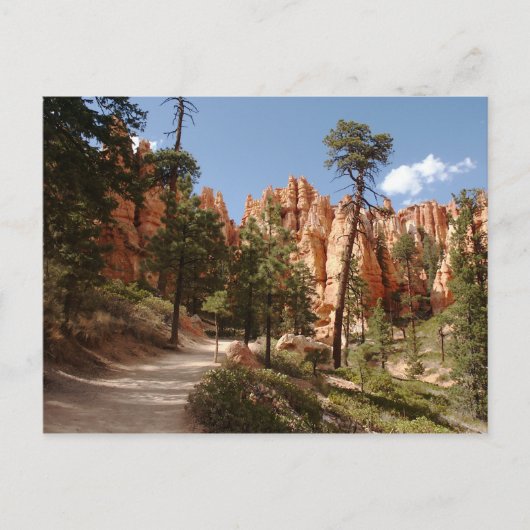 Bryce Canyon National Park Trail Briefkaart (Voorkant)