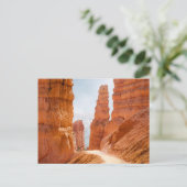 Bryce Canyon National Park Trail Briefkaart (Staand voorkant)