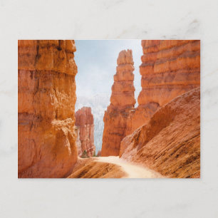 Bryce Canyon National Park Trail Briefkaart