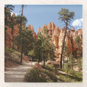 Bryce Canyon National Park Trail Glazen Onderzetter