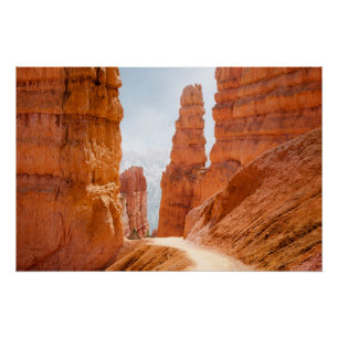 Bryce Canyon National Park Trail Poster