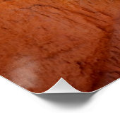 Bryce Canyon National Park Trail Poster (Hoek)