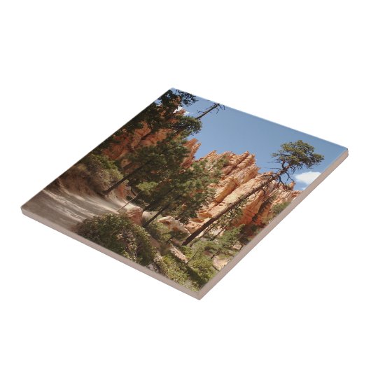 Bryce Canyon National Park Trail Tegeltje (Zijkant)