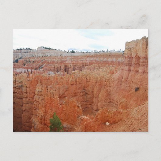 Bryce Canyon National Park, Utah, Briefkaart (Voorkant)