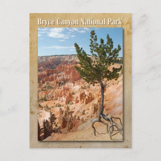 Bryce Canyon National Park, Utah Briefkaart (Voorkant)