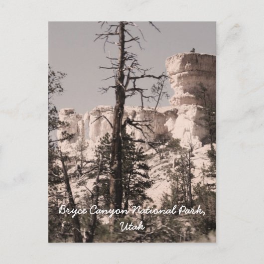 Bryce Canyon National Park, Utah Briefkaart (Voorkant)