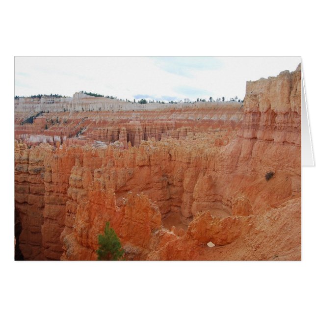 Bryce Canyon National Park, Utah, Card (Voorkant Horizontaal)