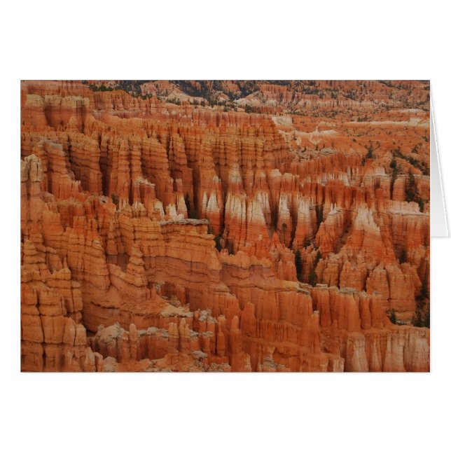 Bryce Canyon National Park, Utah, Card (Voorkant Horizontaal)