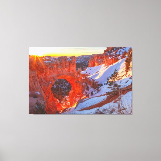 Bryce Canyon Natural Bridge Canvas Afdruk (Voorkant)