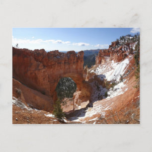 Bryce Canyon Natural Bridge Snowy Landscape Foto Briefkaart