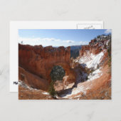 Bryce Canyon Natural Bridge Snowy Landscape Foto Briefkaart (Voorkant / Achterkant)